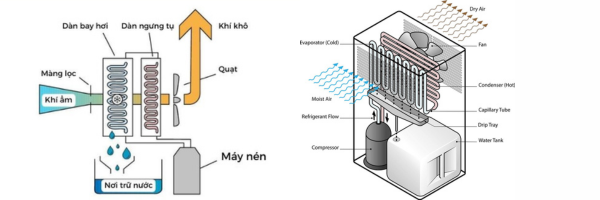 nguyên lý hoạt động của máy hút ẩm gia đình