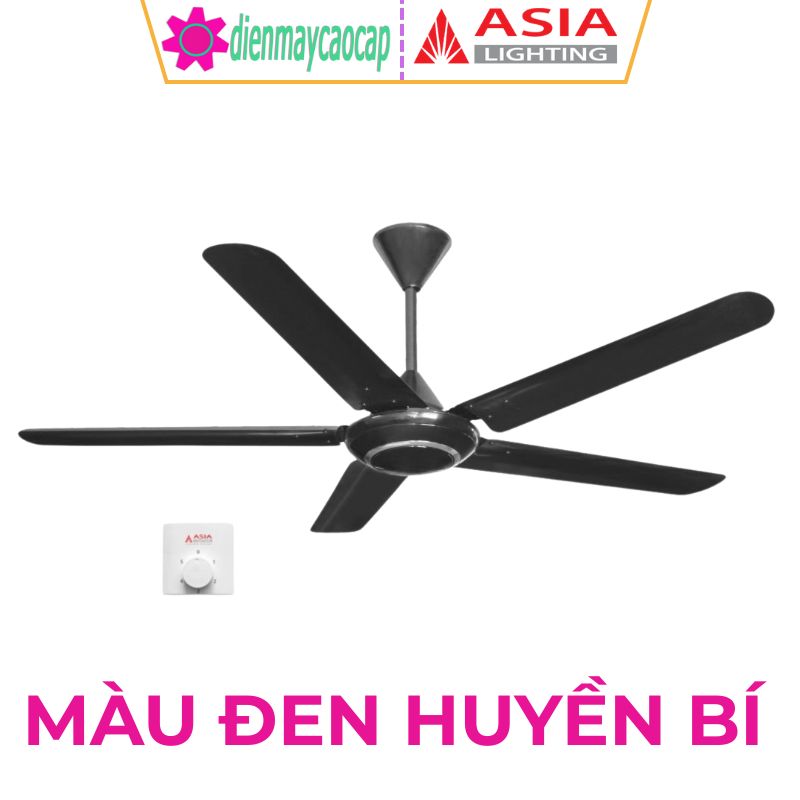 Màu Đen Huyền Bí