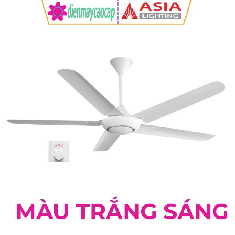 Màu Trắng Sáng