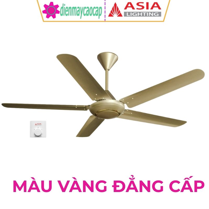 Màu Vàng Đẳng Cấp