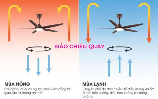 Quạt trần 5 cánh Asia QT09