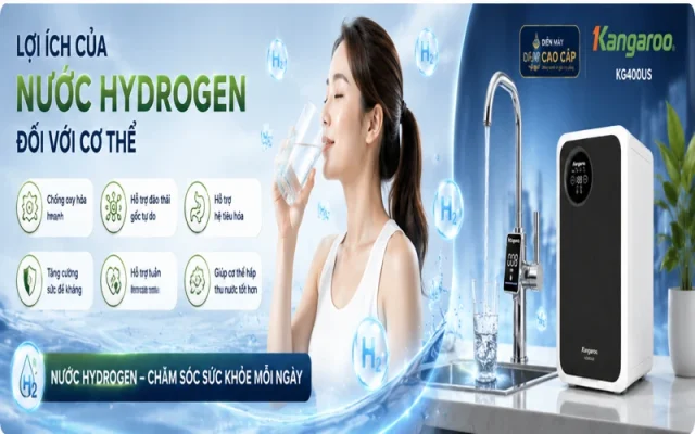 máy lọc nước để gầm Kangaroo KG400US