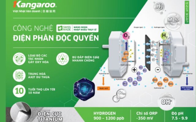 Máy lọc nước điện phân Kangaroo KGHC13A21