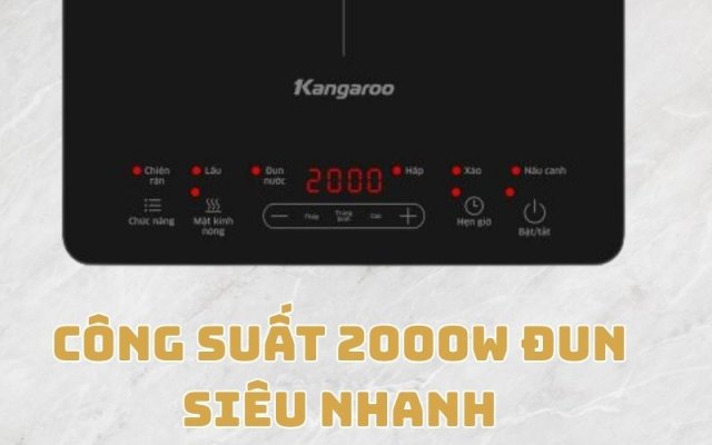 Bếp Từ Đơn Kangaroo KGIC20S1
