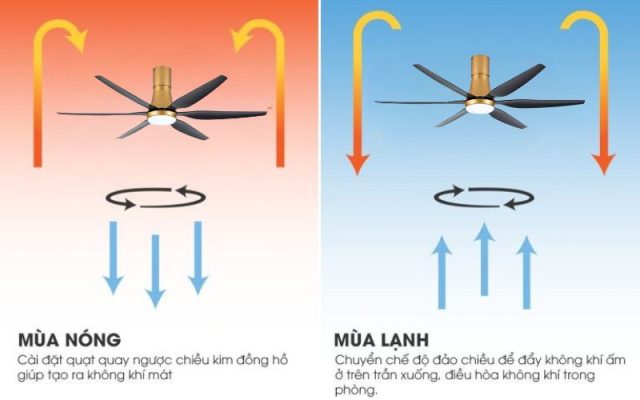 Quạt trần 6 cánh Asia QT20