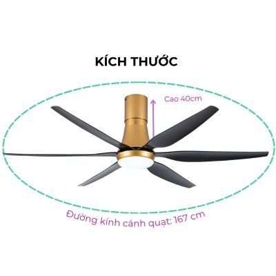 Quạt trần đèn Asia QT20